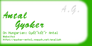 antal gyoker business card